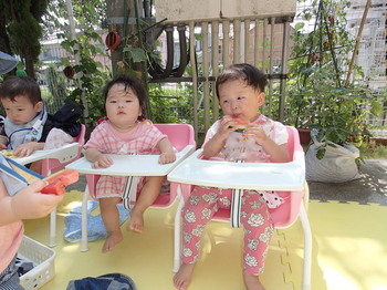  27731すいかわり  (23).JPG